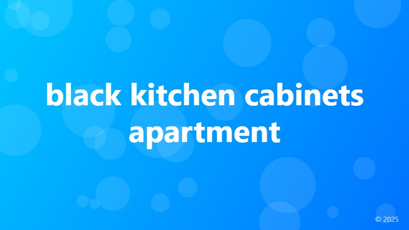 black kitchen cabinets apartment